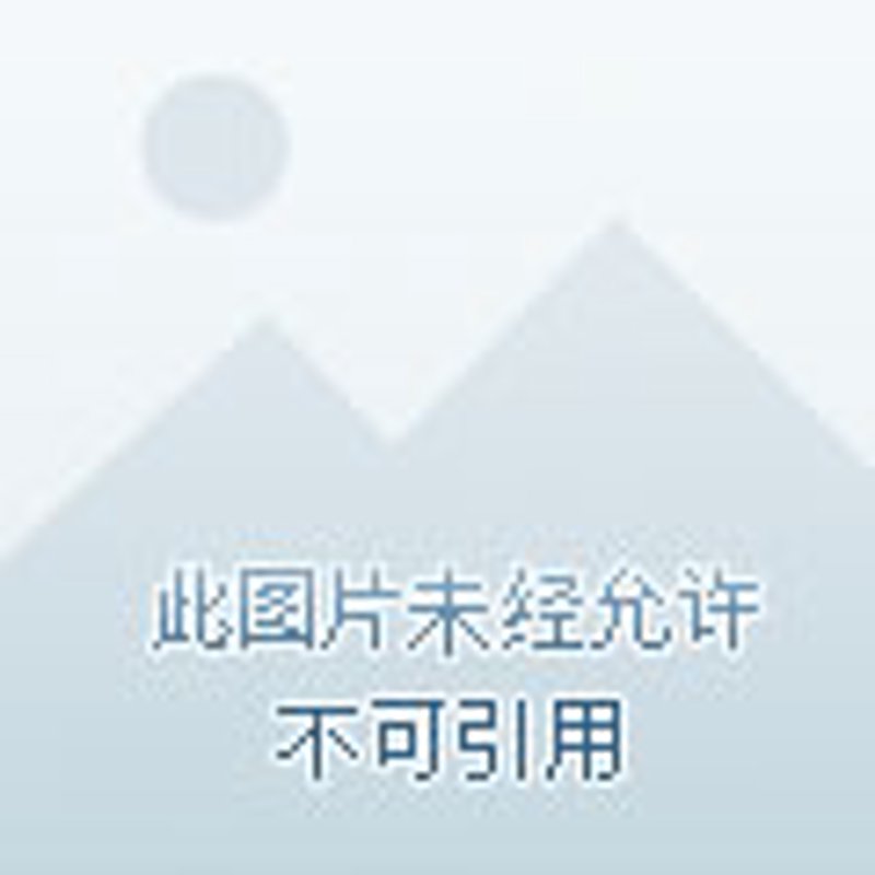 重庆商贸行业的风向标：商家动态解析
